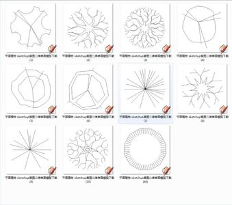 平面植物 sketchup草图二维单面模型下载