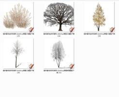 园林景观枯树冬季树 sketchup草图2D模型下载