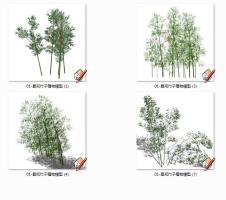 景观竹子植物模型 