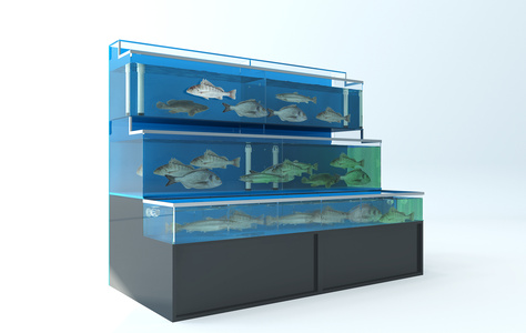 Z20-0523现代海鲜池