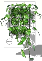 现代垂直绿化植物绿植墙植物墙 (58)