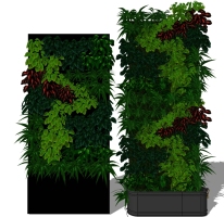 现代垂直绿化植物绿植墙植物墙7