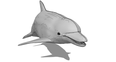 海洋动物海豚 (4)