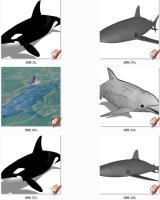 鲨鱼 海豚 SketchUp