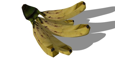 水果 香蕉 (2)