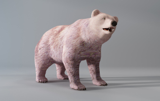 H08-0724狗熊動物