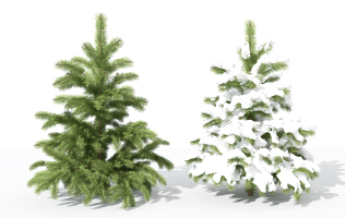 H49-0730景观植物树松柏树针叶植物雪景树3dmax模型下载