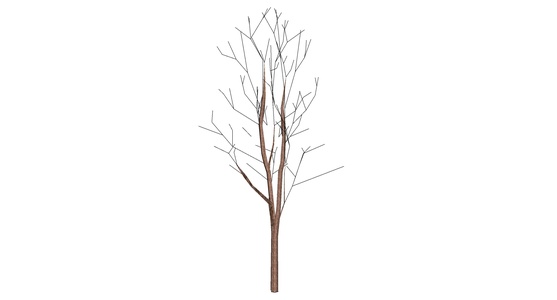 枯树树枝干枝树干摆件 (3)