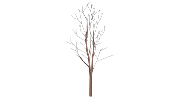 枯樹樹枝干枝樹干擺件 (3)