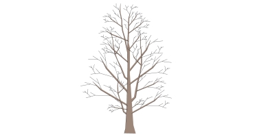 枯樹樹枝干枝樹干擺件 (4)