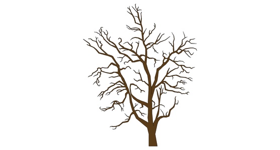 枯树树枝干枝树干摆件 (5)