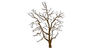 枯樹樹枝干枝樹干擺件 (5)