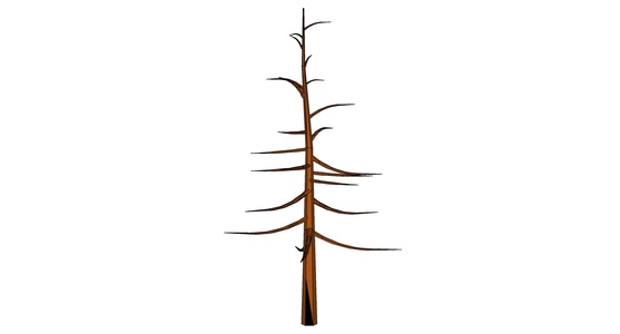 枯树树枝干枝树干摆件 (7)