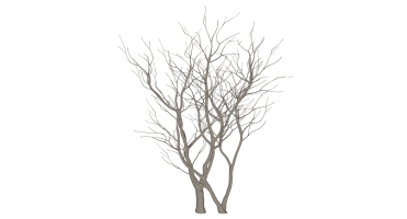 枯樹樹枝干枝樹干擺件 (10)