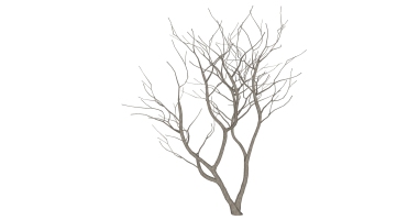 枯樹樹枝干枝樹干擺件 (11)