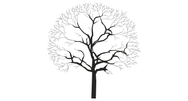 枯樹樹枝干枝樹干擺件 (13)