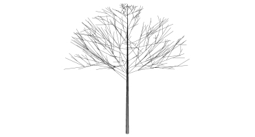 枯樹樹枝干枝樹干擺件 (18)