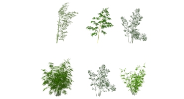 景观竹子植物模型 (1)