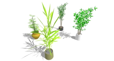 景观竹子植物模型 (2)