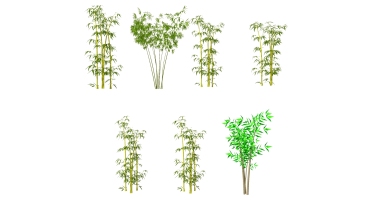 景观竹子植物模型 (10)