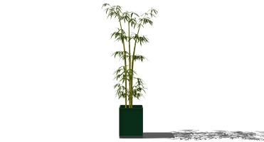 景观竹子植物模型 (14)