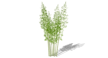 景观竹子植物模型 (21)
