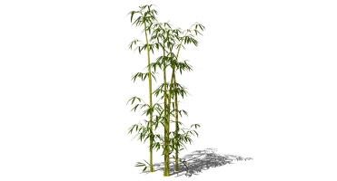 景观竹子植物模型 (28)