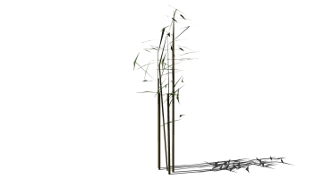 景观竹子植物模型 (29)