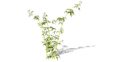 景观竹子植物模型 (30)