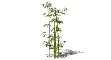 景观竹子植物模型 (39)