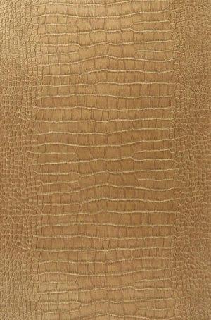 皮革皮纹 鳄鱼皮 (3)