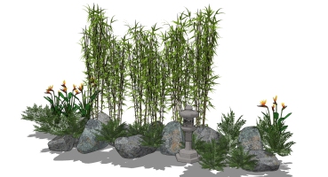  新中式，日式景觀植物，竹林，竹子，石頭石頭庭院燈