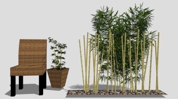  现代植物 竹子竹堆 竹林组合 藤编编制室外竹制椅子 盆栽
