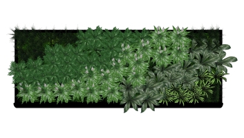  装饰植物 绿植墙组合 