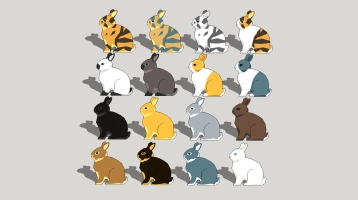  兔子組合 小動物