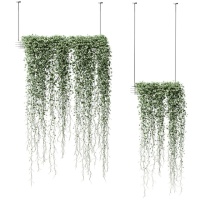  绿植藤蔓，吊篮