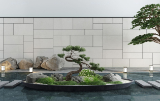 新中式庭院松樹石頭，景觀