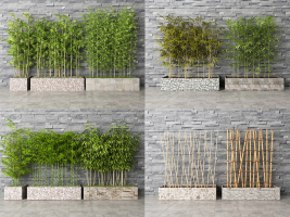 现代竹子，竹竿