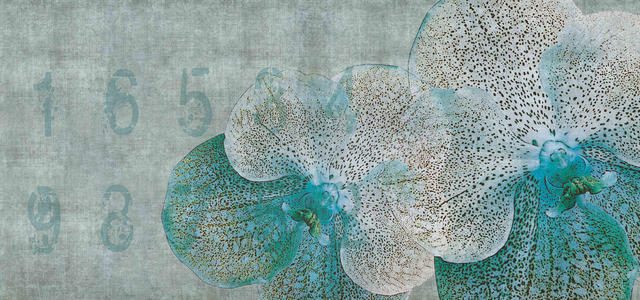 现代欧式地图图案壁纸壁布背景画 (5)