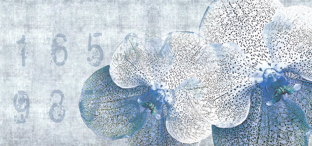 现代欧式地图图案壁纸壁布背景画 (3)