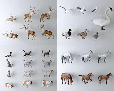 现代动物,现代宠物狗,宠物猫,动物，鸭子,鹅,小鹿