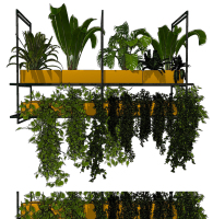 金屬盒室內懸掛，吊裝藤蔓植物 ,綠植