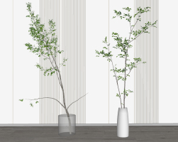 13现代绿植，花瓶，花艺，插花