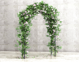現代拱形門植物花架，花門，藤蔓綠植