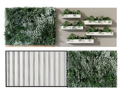 现在植物墙，绿植墙，花槽