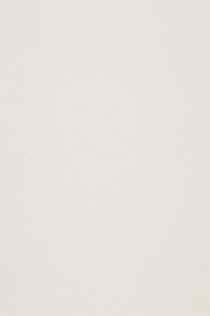 米色墙布 壁纸 墙纸