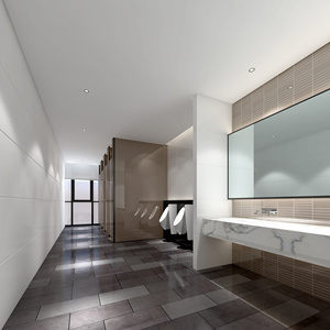 现代公共卫生间 