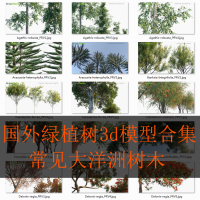 常见大洋洲树木 Globe Plants – Bundle 08国外树3d模型专辑