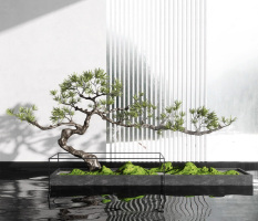 新中式景觀綠植,售樓處造景