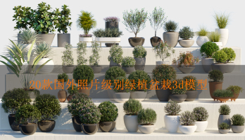 20款国外照片级别绿植盆栽3d模型Globe Plants – Bundle 01